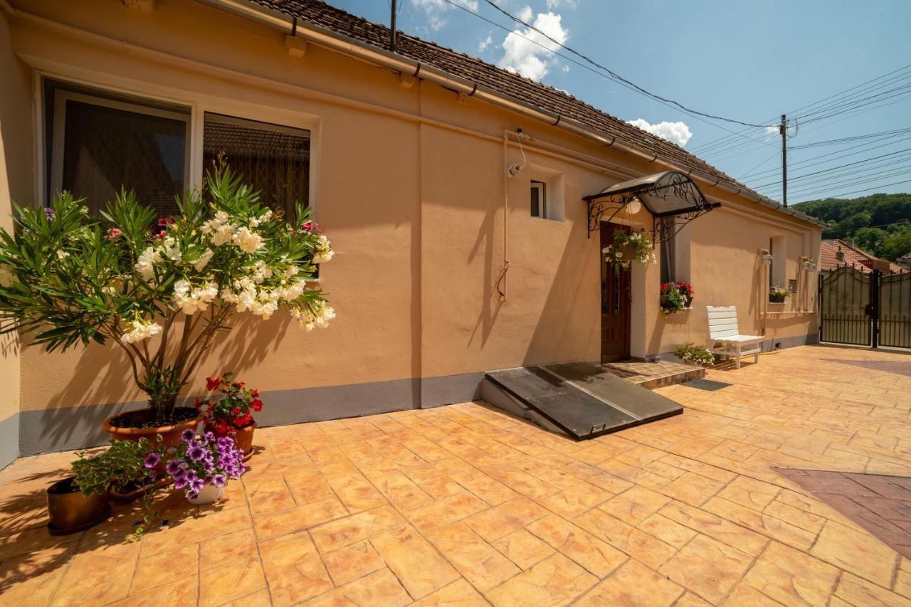 Nice&Cozy Apartament Сигишоара Экстерьер фото